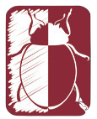 Skarabäus